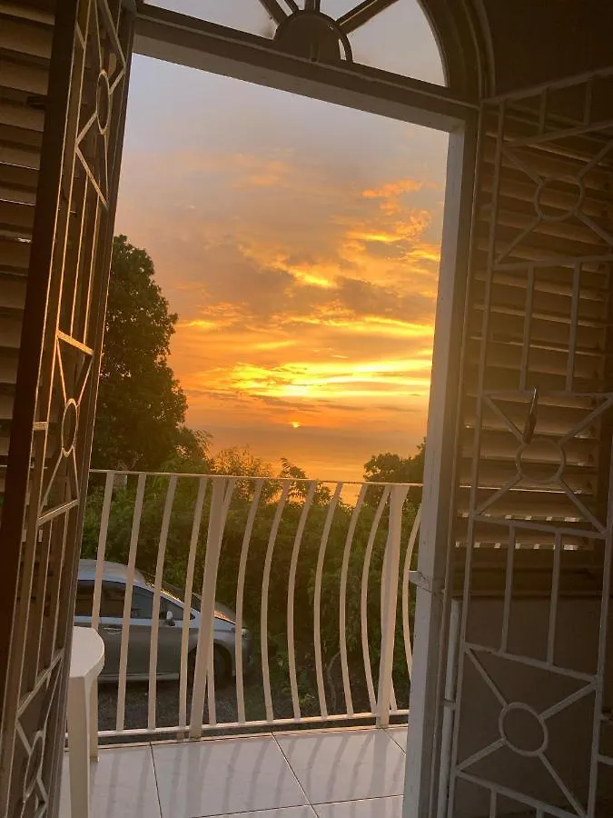 Mango Walk Guesthouse Montego Bay